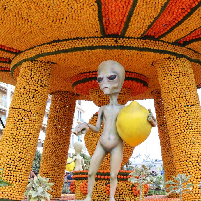 Fête du Citron 2026 : Une expérience unique à Menton